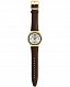 Swatch SKIN SUIT COFFEE SS07G100